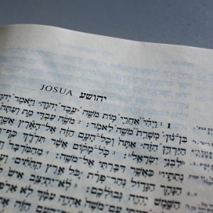 נ"ך "נביאים כתובים" - 2025-26 - ללא תשלום