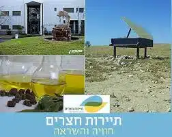 חוחובה וארגן מרוקאי, נטפים ופסלים בקיבוץ חצרים בהדרכת ליאור מרק