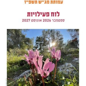מנוי שנתי למג"ש 2026 - 2027